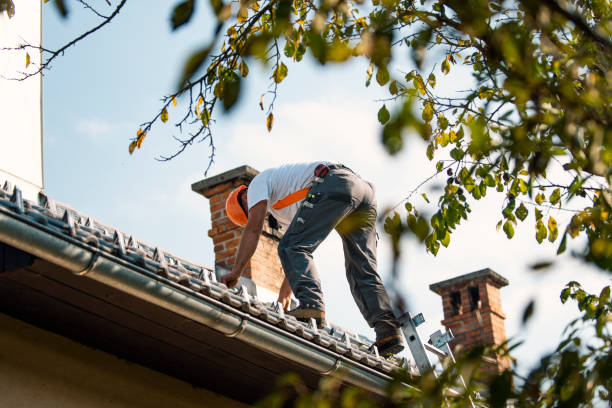 Emergency Roof Repair in Dunsmuir, CA